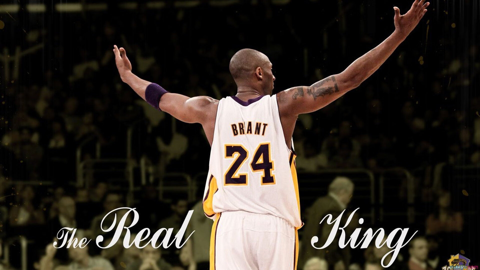 球场瞬间:点燃全场的篮球奇迹,篮球场面